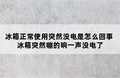 冰箱正常使用突然没电是怎么回事 冰箱突然嘣的响一声没电了